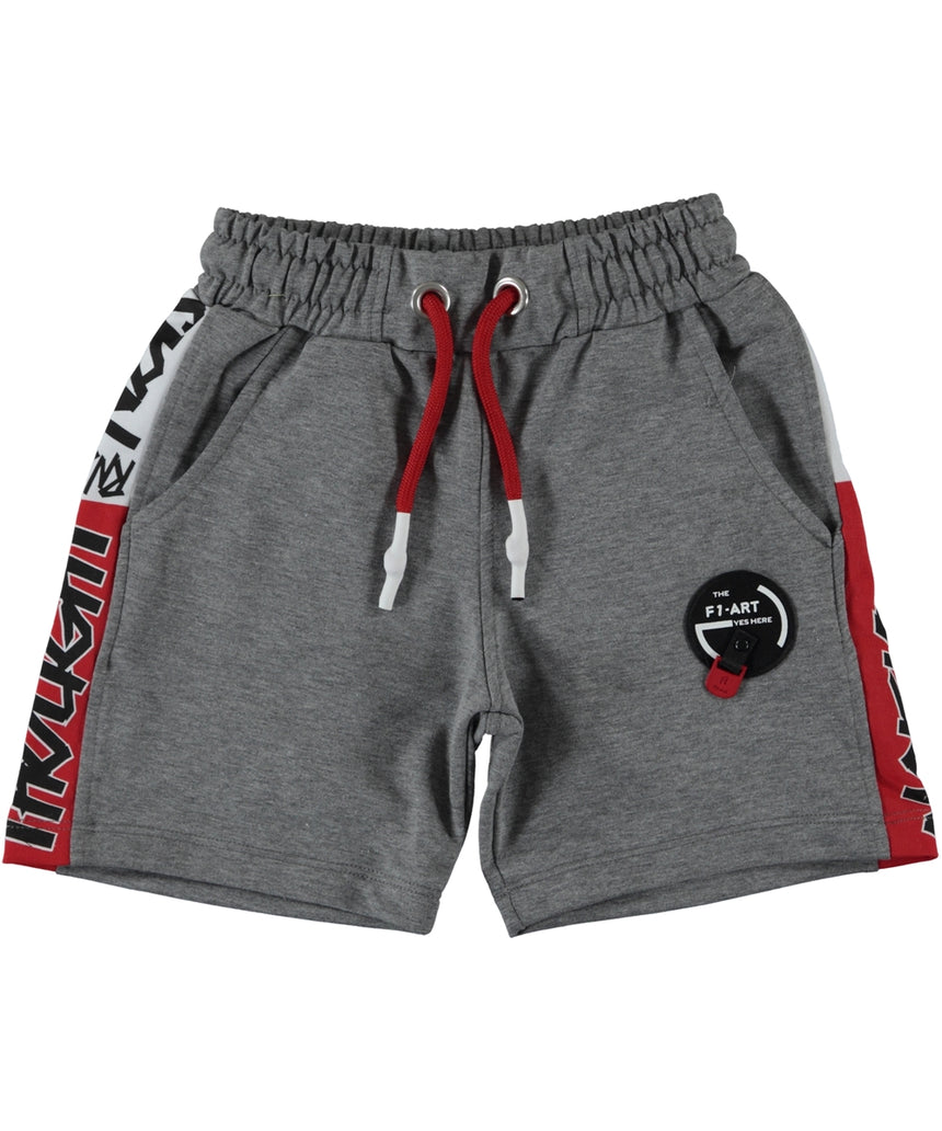 F1 Art Boy Shorts