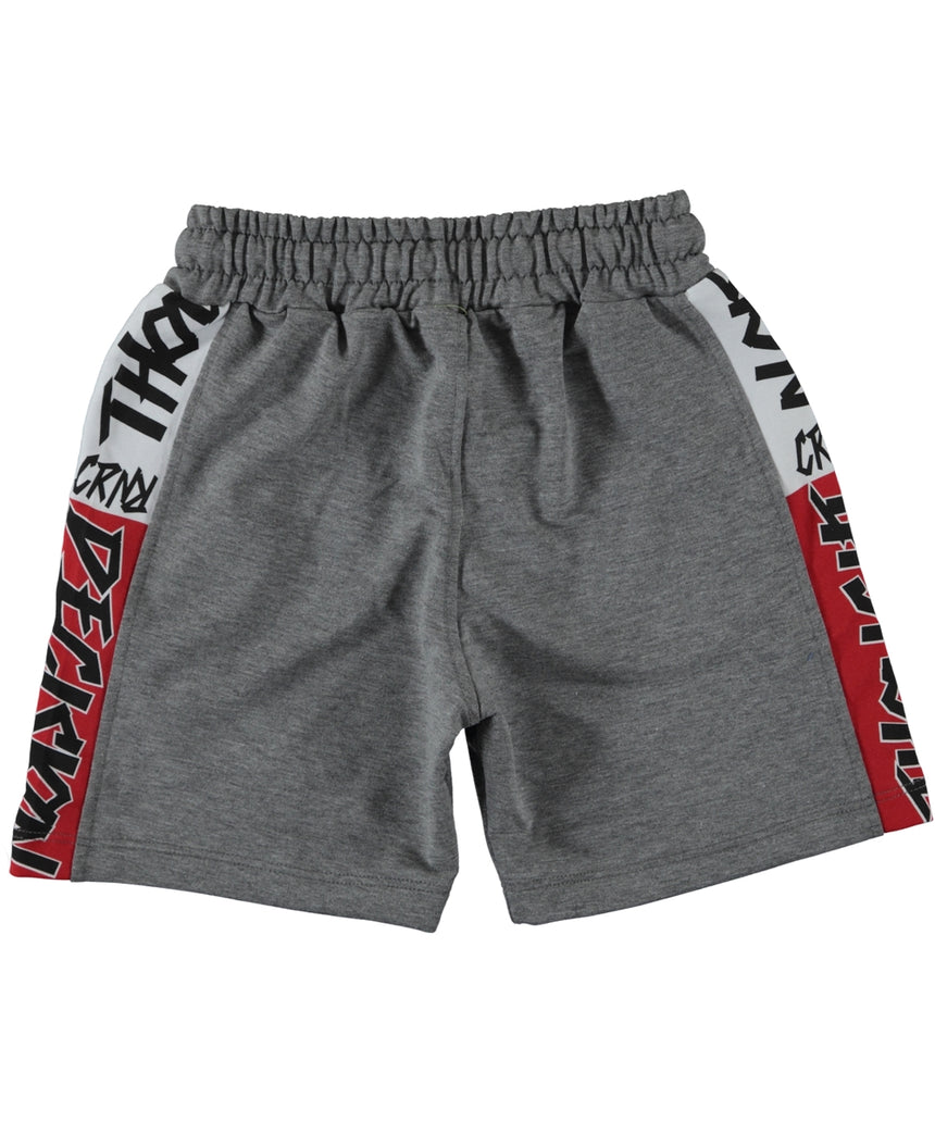 F1 Art Boy Shorts