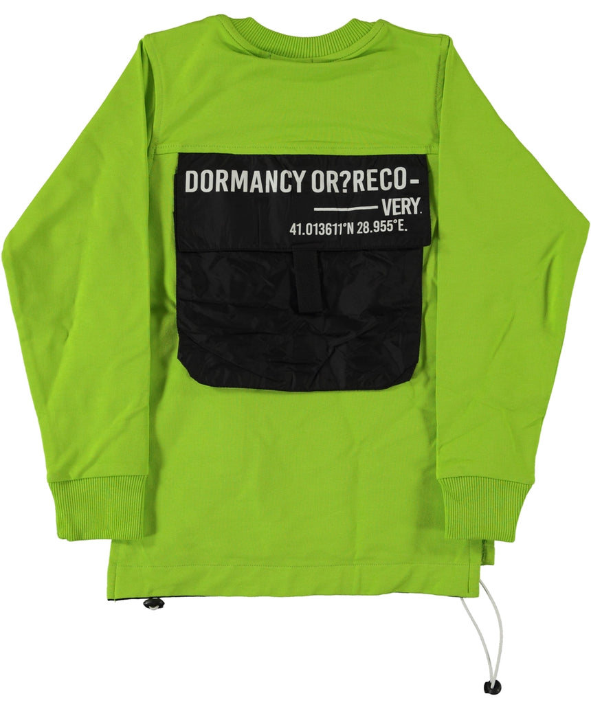 Dormancy Sweatshirt